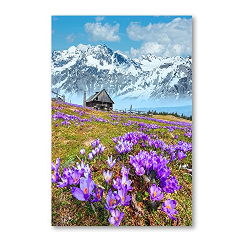 Postereck - 3198 - Krokus, Wiese Natur Berge Frühling Blume Lila - Wandposter Fotoposter Bilder Wandbild Wandbilder - Poster - 3:2-91,0 cm x 61,0 cm von Postereck