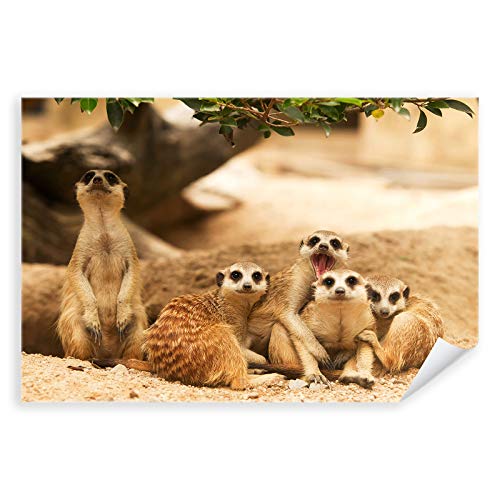 Postereck - 3248 - Erdmännchen, Tier Familie Afrika Madagaskar - Wandposter Fotoposter Bilder Wandbild Wandbilder - Leinwand - 100,0 cm x 75,0 cm von Postereck