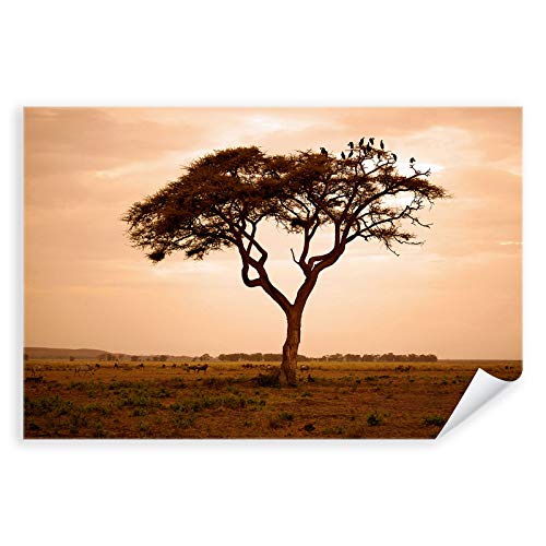 Postereck - 3289 - Afrika, Natur Landschaft Savanne Wildnis Baum - Wandposter Fotoposter Bilder Wandbild Wandbilder - Poster - 4:3-40,0 cm x 30,0 cm von Postereck