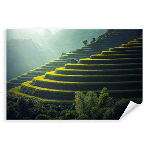 Postereck - 3291 - Asien, Natur Landschaft Vietnam Pflanze Feld - Wandposter Fotoposter Bilder Wandbild Wandbilder - Poster - DIN A4-21,0 cm x 29,7 cm von Postereck