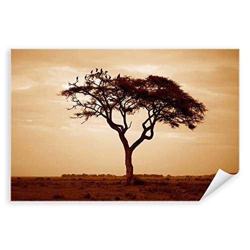 Postereck - 3293 - Afrika, Natur Landschaft Savanne Wildnis Baum - Wandposter Fotoposter Bilder Wandbild Wandbilder - Poster - 3:2-61,0 cm x 40,5 cm von Postereck