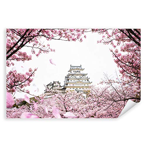 Postereck - 3318 - Burg Japan, Asien Kirsche Blüte Blumen Rosa - Wandposter Fotoposter Bilder Wandbild Wandbilder - Poster - 3:2-61,0 cm x 40,5 cm von Postereck