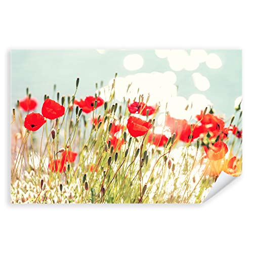 Postereck - 3366 - Mohnblumen, Wiese Blume Blüte Frühling Natur - Wandposter Fotoposter Bilder Wandbild Wandbilder - Poster - 4:3-40,0 cm x 30,0 cm von Postereck