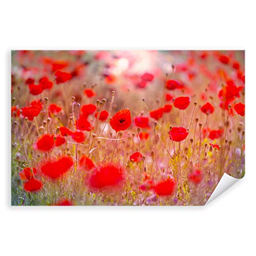 Postereck - 3387 - Mohnblumen, Wiese Blume Blüte Natur Sonne - Wandposter Fotoposter Bilder Wandbild Wandbilder - Poster - 3:2-91,0 cm x 61,0 cm von Postereck