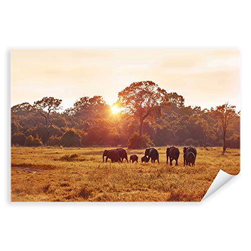 Postereck - 3403 - Elefanten, Herde Tier Afrika Landschaft Natur - Wandposter Fotoposter Bilder Wandbild Wandbilder - Poster - DIN A4-21,0 cm x 29,7 cm von Postereck