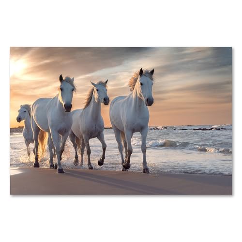 Postereck - 3510 - Pferde, Herde Natur Tier Meer Strand Weiss - Wandposter Fotoposter Bilder Wandbild Wandbilder - Leinwand - 40,0 cm x 30,0 cm von Postereck