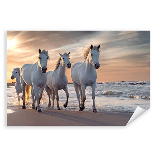 Postereck - 3510 - Pferde, Herde Natur Tier Meer Strand Weiss - Wandposter Fotoposter Bilder Wandbild Wandbilder - Poster - 3:2-61,0 cm x 40,5 cm von Postereck