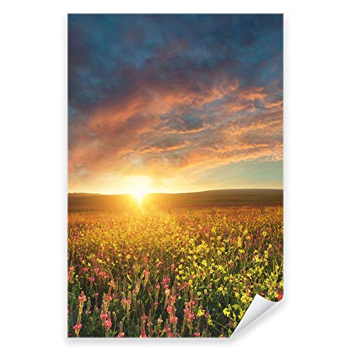 Postereck - 3615 - Sonnenuntergang, Feld Blumen Wiese Natur Sonne - Wandposter Fotoposter Bilder Wandbild Wandbilder - Poster - 3:2-91,0 cm x 61,0 cm von Postereck