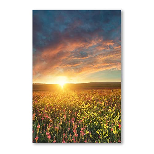 Postereck - 3615 - Sonnenuntergang, Feld Blumen Wiese Natur Sonne - Wandposter Fotoposter Bilder Wandbild Wandbilder - Poster - DIN A4-21,0 cm x 29,7 cm von Postereck