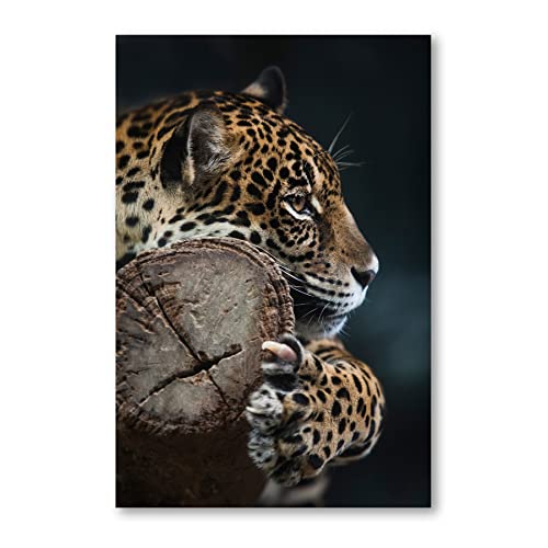 Postereck - 3693 - Leopard, Raubtier Tier Natur Portrait Katze - Wandposter Fotoposter Bilder Wandbild Wandbilder - Poster - 4:3-40,0 cm x 30,0 cm von Postereck