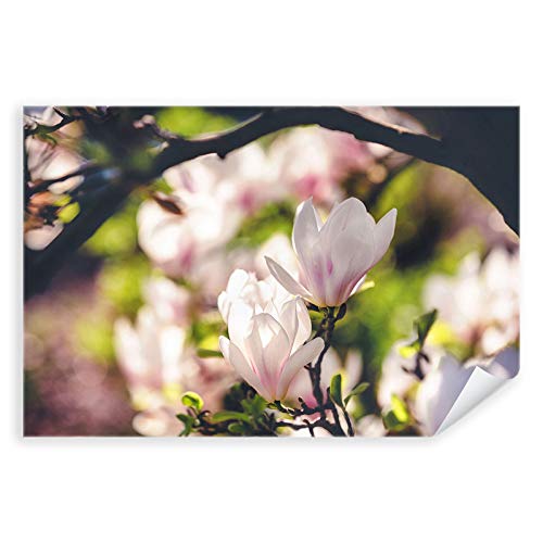 Postereck - 3838 - Magnolie, Baum Blüte Pflanze Natur Knospe - Wandposter Fotoposter Bilder Wandbild Wandbilder - Poster - DIN A4-21,0 cm x 29,7 cm von Postereck