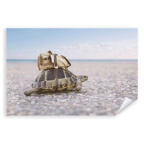 Postereck - 3913 - Schildkröte, Reptil Strand Rucksack Natur Tier - Wandposter Fotoposter Bilder Wandbild Wandbilder - Leinwand - 100,0 cm x 75,0 cm von Postereck