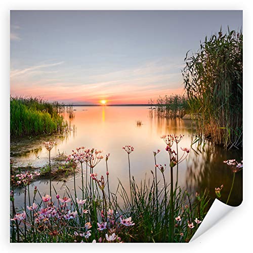 Postereck - 4023 - Qaudrat, See Sonnenuntergang Ufer Blumen Natur - Wandposter Fotoposter Bilder Wandbild Wandbilder - Poster - 30,5cm x 30,5cm von Postereck
