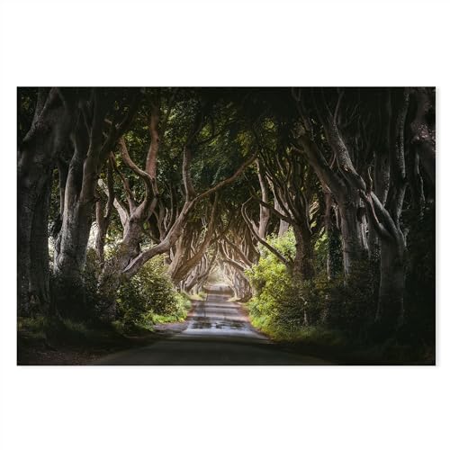 Postereck - 4105 - Dark Hedges: Buchenbäume, Straße & mystische Stimmung. - Wandposter Fotoposter Bild Wandbild Wanddeko deko - Poster - 4:3-40,0 cm x 30,0 cm von Postereck