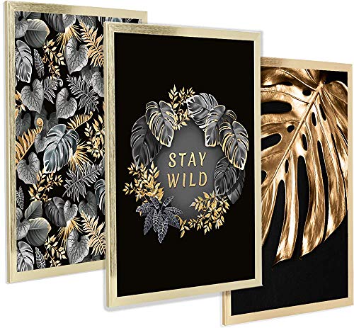 postergaleria 3er Set Design Poster | 30x40cm | mit Gold Bilderrahmen | Grün, Grau, Schwarz Blätter/Goldene Monsterblatt/Wild Bleiben | Bilder für Küche, Büro, Wohnzimmer, Schlafzimmer | Vergoldet von postergaleria