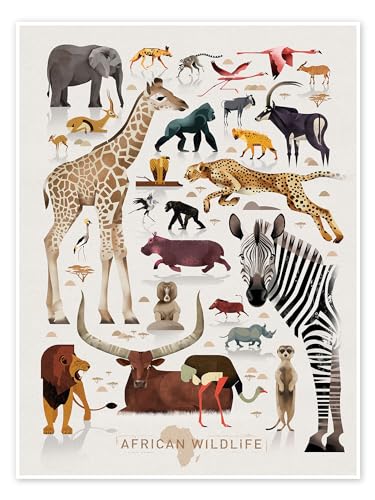 Afrikas Tierwelt (Englisch) Poster von Dieter Braun Wandbilder für jeden Raum 30 x 40 cm Braun Geschenkideen Wanddeko von Posterlounge