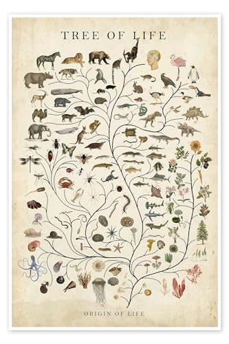 Baum des Lebens (englisch) Poster von Studio W 20 x 30 cm Beige Botanik Wanddeko von Posterlounge