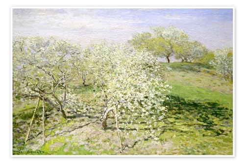 Blühende Apfelbäume im Frühling Poster von Claude Monet 100 x 70 cm Grün Impressionismus Wanddeko von Posterlounge