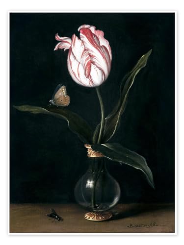 Die Tulpe Sommerschön Poster von Balthasar van der Ast 50 x 70 cm Schwarz Barock Wanddeko von Posterlounge