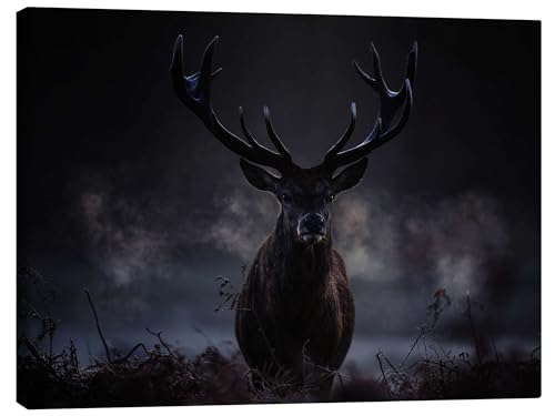 Ein majestätischer Rotwildhirsch atmet in der Winterluft aus Leinwandbild von Alex Saberi 80 x 60 cm Grau Geschenkideen Wanddeko von Posterlounge