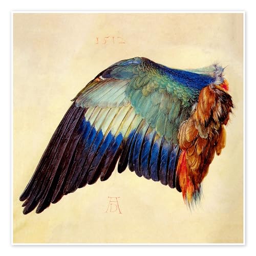 Flügel einer Blauracke Poster von Albrecht Dürer Wandbilder für jeden Raum 30 x 30 cm Beige Renaissance Wanddeko von Posterlounge