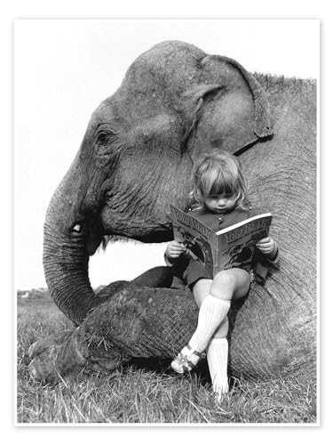 Geschichten lesen mit Elefant Poster von John Drysdale 30 x 40 cm Schwarz-Weiß Wandbilder Wanddeko Geschichten lesen mit Elefant Poster von John Drysdale 30 x 40 cm Schwarz-Weiß Wandbilder Wanddeko von Posterlounge