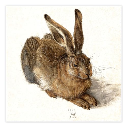 Hase Poster von Albrecht Dürer Wandbilder für jeden Raum 30 x 30 cm Braun Zeichnung & Skizze Wanddeko von Posterlounge