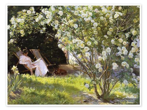 Rosen, Marie Krøyer sitzt im Liegestuhl im Garten von Frau Bendsens Haus Poster von Peder Severin Krøyer 70 x 50 cm Grün Impressionismus Wanddeko von Posterlounge