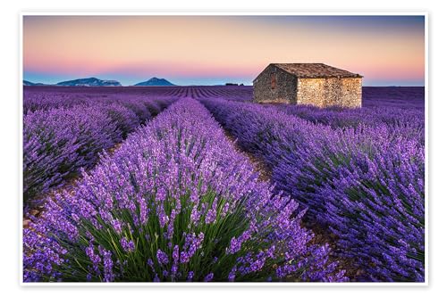 Lavendelfarben Poster von André Wandrei 30 x 20 cm Lila Wandbilder Wanddeko Lavendelfarben Poster von André Wandrei 30 x 20 cm Lila Wandbilder Wanddeko von Posterlounge