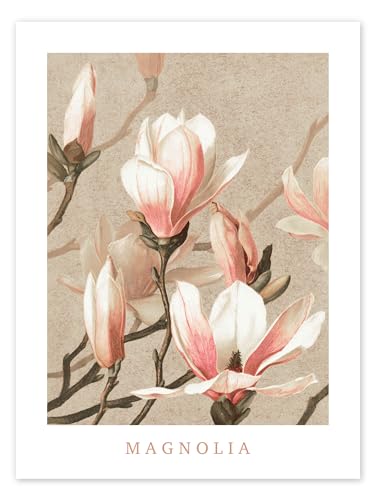 Magnolia Poster von Vintage Educational Collection Wandbilder für jeden Raum 30 x 40 cm Beige Blumen Wanddeko von Posterlounge