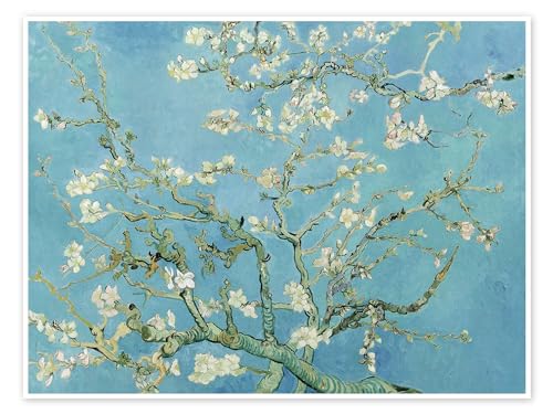 Mandelblüte Poster von Vincent van Gogh 80 x 60 cm Türkis Impressionismus Wanddeko von Posterlounge