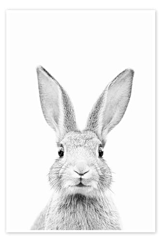 Neugieriges Kaninchen Poster von Sisi And Seb 20 x 30 cm Schwarz-Weiß Schwarz-Weiß Fotografie Wanddeko von Posterlounge