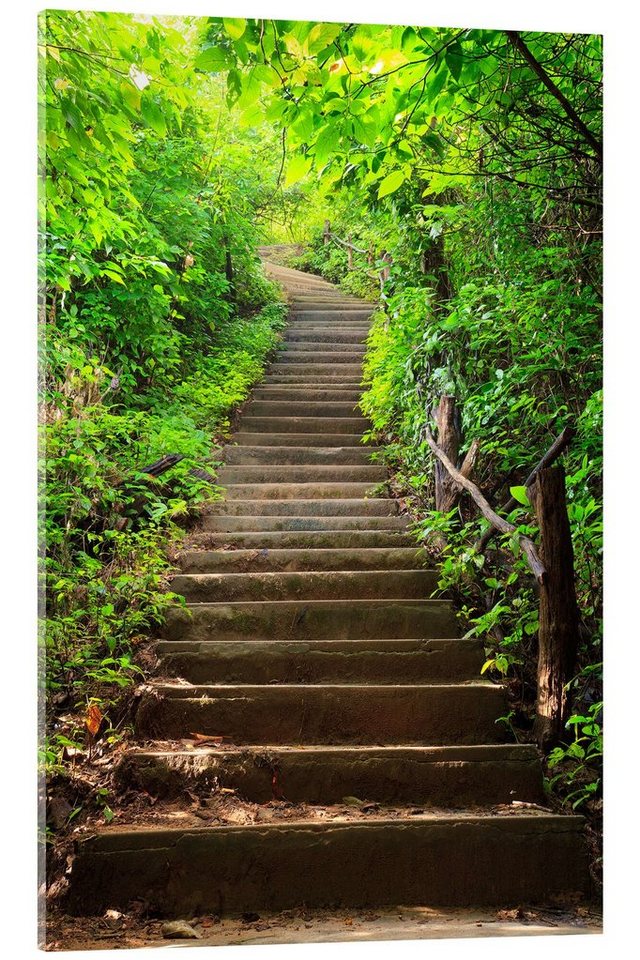 Posterlounge Acrylglasbild Editors Choice, Treppe zum Wald, Fotografie von Posterlounge