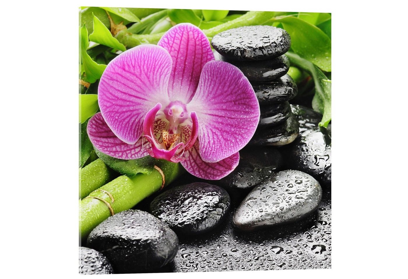 Posterlounge Acrylglasbild Editors Choice, Zen-Steine und rosafarbene Orchidee, Badezimmer Fotografie von Posterlounge