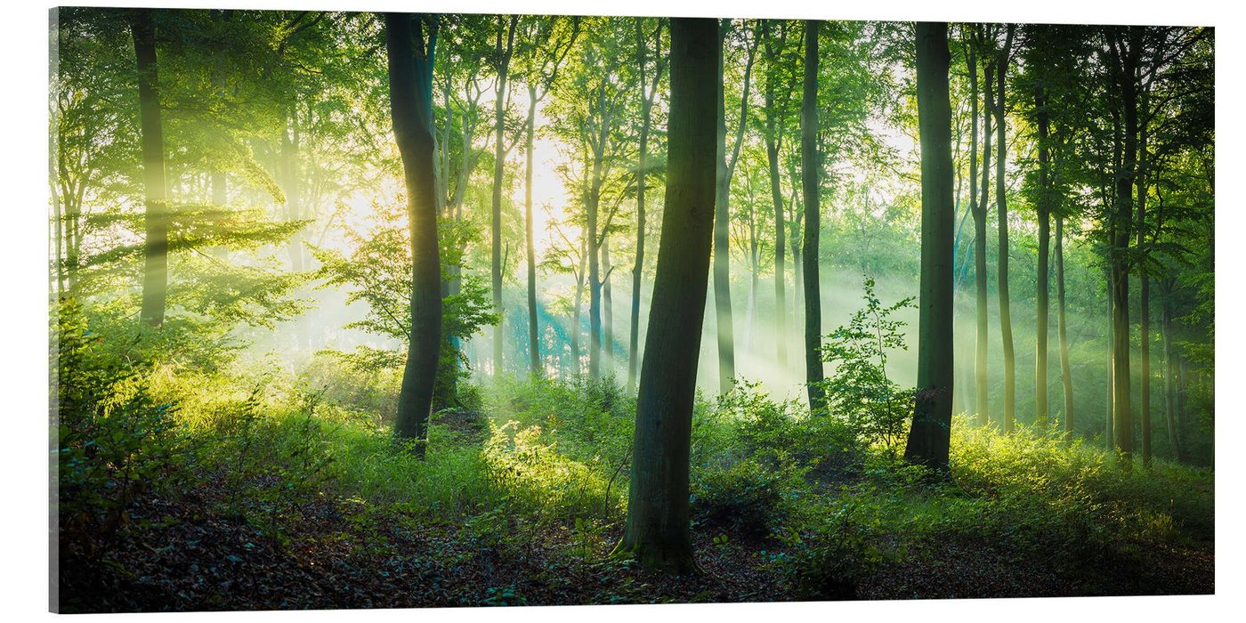 Posterlounge Acrylglasbild Martin Wasilewski, Licht im Wald, Badezimmer Maritim Fotografie von Posterlounge