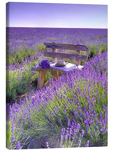 Posterlounge Eine Bank im Lavendelfeld Leinwandbild von Assaf Frank 60 x 80 cm Blumen Wanddeko von Posterlounge