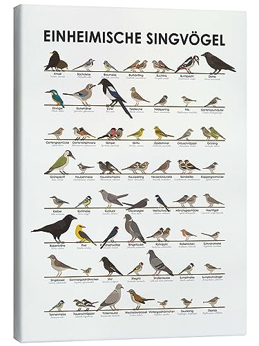 Posterlounge Einheimische Singvögel Leinwandbild von Iris Luckhaus Wandbilder für jeden Raum 50 x 70 cm Geschenkideen Wanddeko von Posterlounge