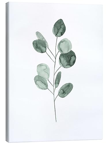 Posterlounge Eukalyptuszweig Leinwandbild von Mantika Studio Wandbilder für jeden Raum 20 x 30 cm Grün Aquarell Malerei Wanddeko von Posterlounge