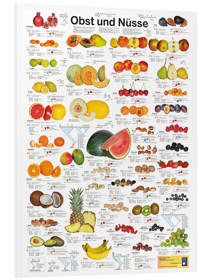 Posterlounge Forex-Bild Planet Poster Editions, Obst und Nüsse, Arztpraxis Illustration von Posterlounge