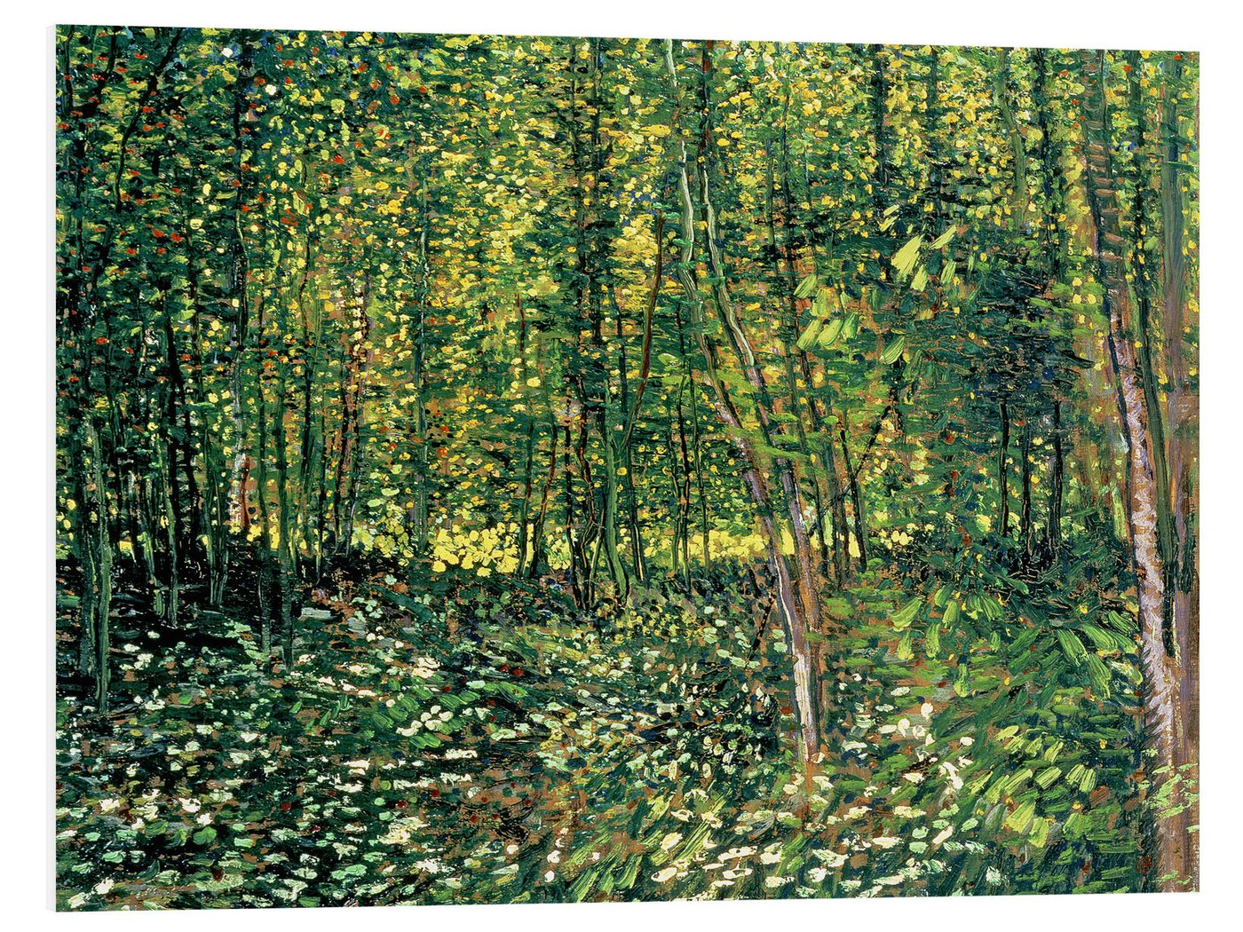 Posterlounge Forex-Bild Vincent van Gogh, Bäume und Unterholz, Wohnzimmer Malerei von Posterlounge
