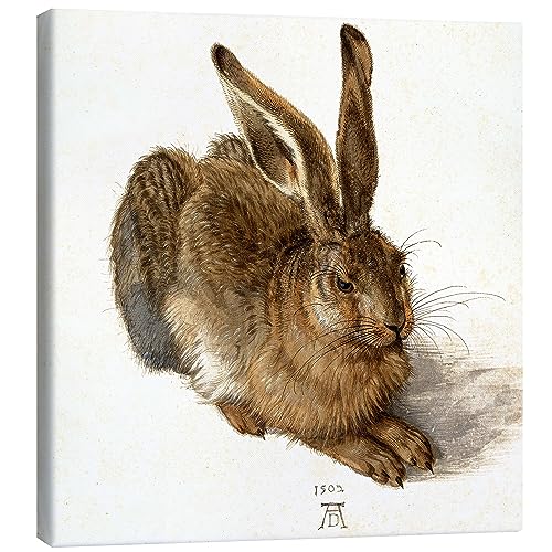 Posterlounge Hase Leinwandbild von Albrecht Dürer Wandbilder für jeden Raum 30 x 30 cm Braun Zeichnung & Skizze Wanddeko von Posterlounge