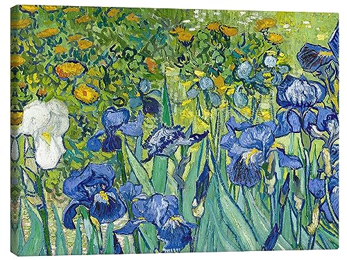 Posterlounge Iris Leinwandbild von Vincent van Gogh 80 x 60 cm Grün Impressionismus Wanddeko von Posterlounge