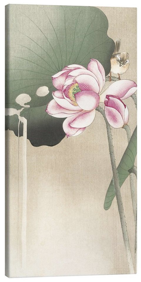 Posterlounge Leinwandbild Ohara Koson, Lotus Blume und Fink, Malerei von Posterlounge