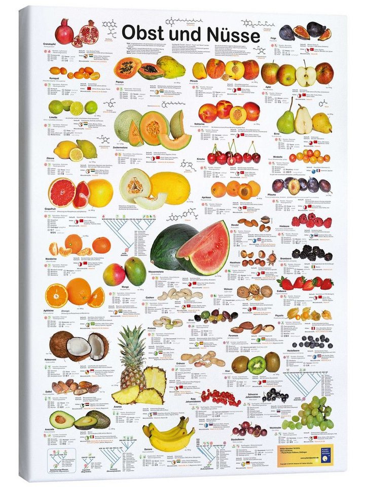 Posterlounge Leinwandbild Planet Poster Editions, Obst und Nüsse, Arztpraxis Illustration von Posterlounge