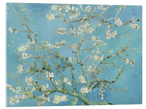 Posterlounge Mandelblüte Acrylglasbild von Vincent van Gogh 30 x 20 cm Türkis Impressionismus Wanddeko von Posterlounge