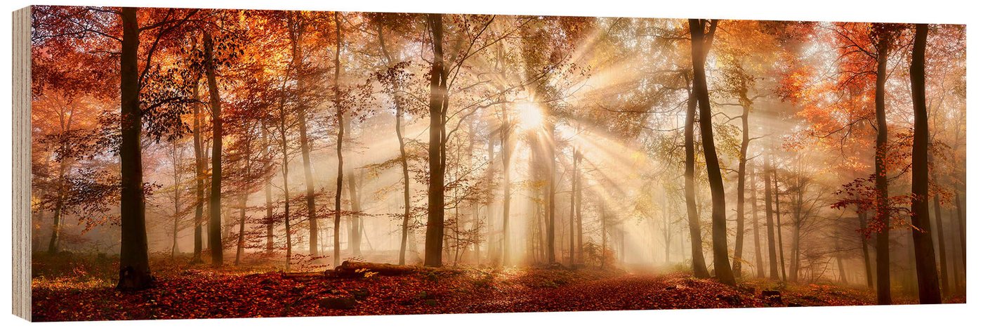 Posterlounge Wandbild Herbstwald - Bronze und Kupfer, Art Couture, erhältlich als Poster, Leinwandbild, Wandsticker oder Acrylglasbild Posterlounge Wandbild Herbstwald - Bronze und Kupfer, Art Couture, erhältlich als Poster, Leinwandbild, Wandsticker oder Acrylglasbild von Posterlounge