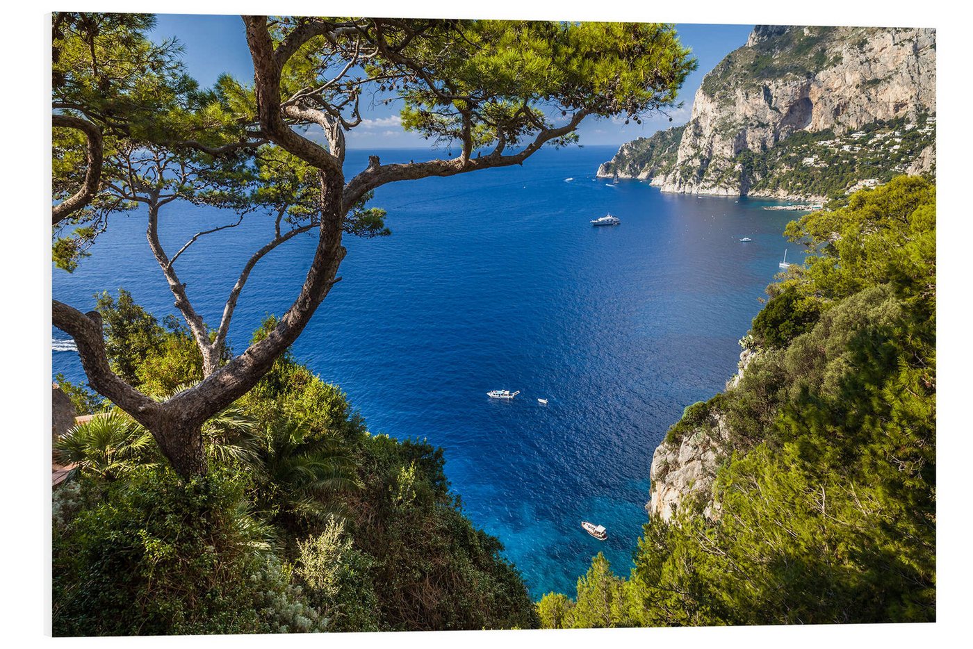 Posterlounge Poster Christian Müringer, Traumhafter Meerblick in Capri (Italien), Badezimmer Maritim Fotografie von Posterlounge