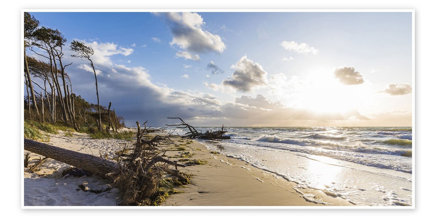 Posterlounge Poster Dieterich Fotografie, Darßer Weststrand an der Ostsee bei Prerow, Badezimmer Maritim Fotografie Posterlounge Poster Dieterich Fotografie, Darßer Weststrand an der Ostsee bei Prerow, Badezimmer Maritim Fotografie von Posterlounge