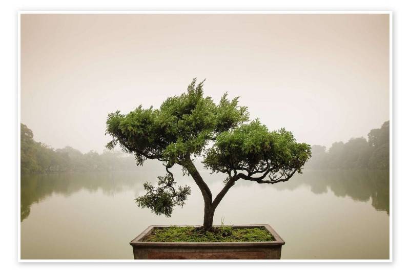 Posterlounge Poster Editors Choice, Japanischer Bonsai im Zen-Garten, Badezimmer Feng Shui Fotografie von Posterlounge