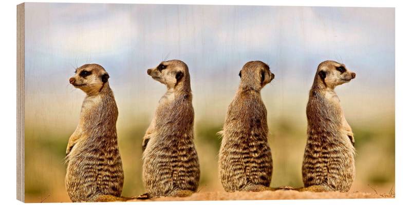 Posterlounge Wandbild Vier Erdmännchen - vier Gedanken, Gérard Lacz, erhältlich als Poster, Leinwandbild, Wandsticker oder Acrylglasbild Posterlounge Wandbild Vier Erdmännchen - vier Gedanken, Gérard Lacz, erhältlich als Poster, Leinwandbild, Wandsticker oder Acrylglasbild von Posterlounge